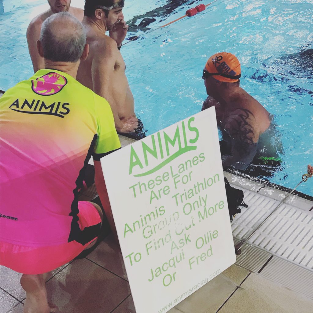 online triathlon coaching animis