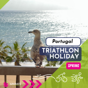 triathlon holiday spring triathlon training camp triathlon retreat